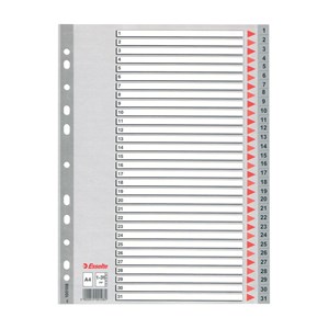 Obrázek Rozdružovač A4 plastový Esselte - šedý / 1 - 31