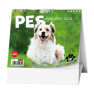 Obrázek Kalendář stolní MINI - Pes, věrný přítel / BSL7